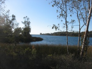 Spend a quiet day at a local lake. (Photo by Tim Forkes)