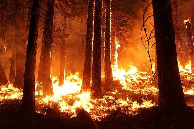 Photo: Rim Fire, Calif. 2013, Mike McMillan-USFS