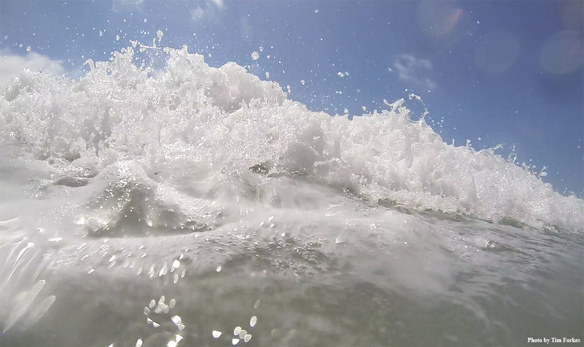 Wave La Jolla Shores Los Angeles Post Examiner