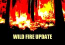 Oak Fire Explodes Near Yosemite