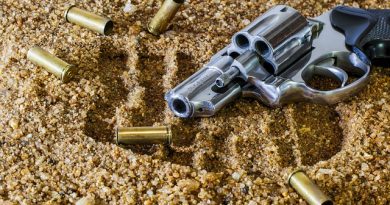 Gun control bill advances in Maryland Senate