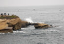 Happy Earth Day 2025
