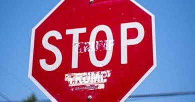 Anger at Trump, Good/Persuasive Writing and The New York Times Columnist Whose Words Fail Him