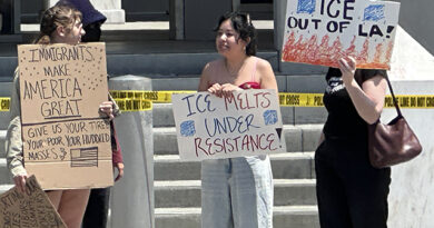 Who Knew Democracy Would Become Subversive?