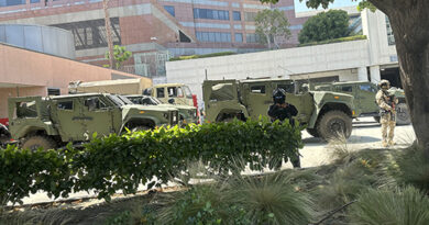 The Occupation of Los Angeles