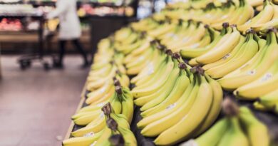groceries, bananas: Image by StockSnap from Pixabay