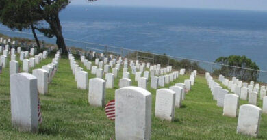 Marine Corps Birthday and Veterans Day, by a Vet