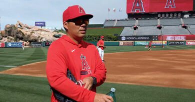 The Angels’ Season Has Started